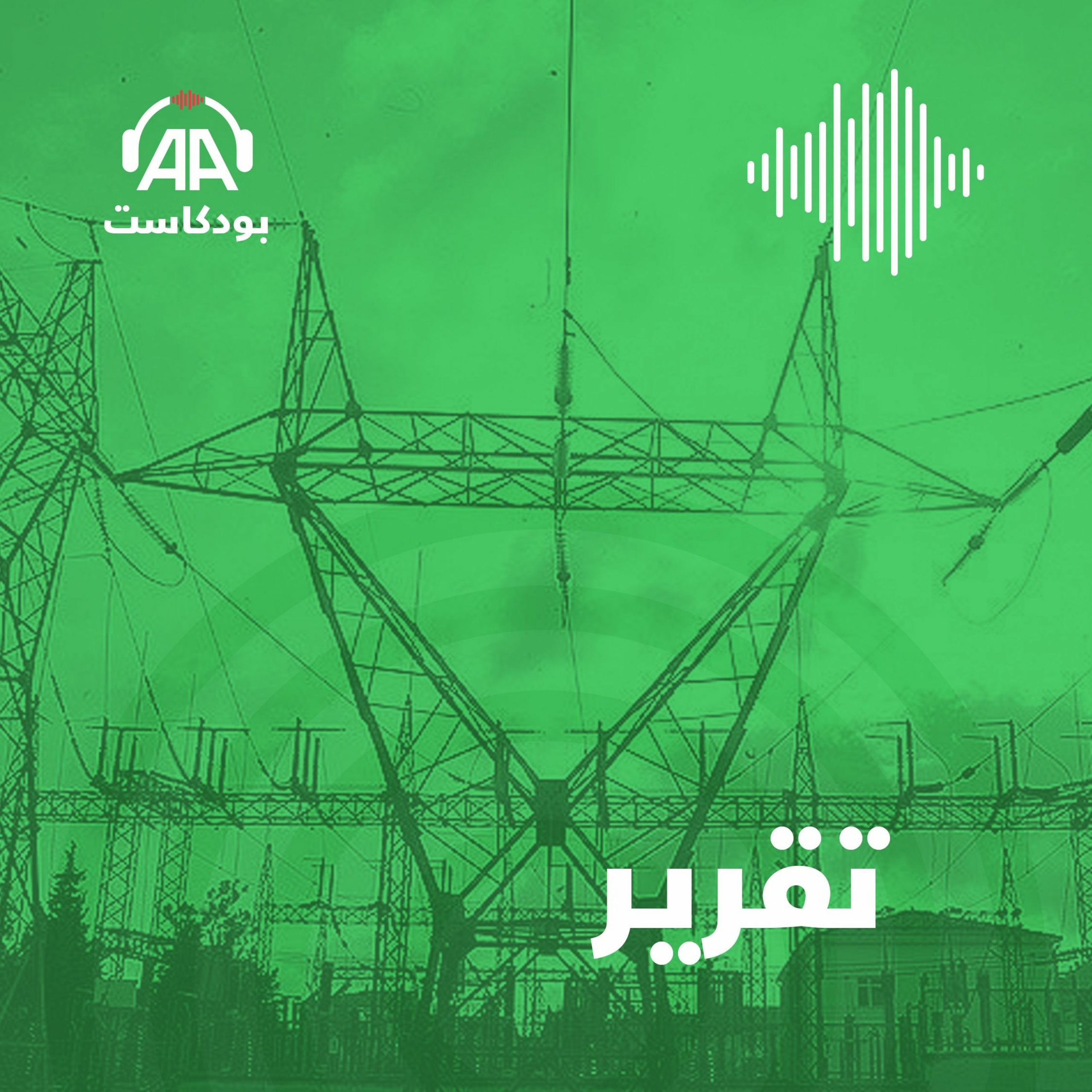 خطوط الربط الكهربائي تقود لاستعادة التعاون العربي المشترك