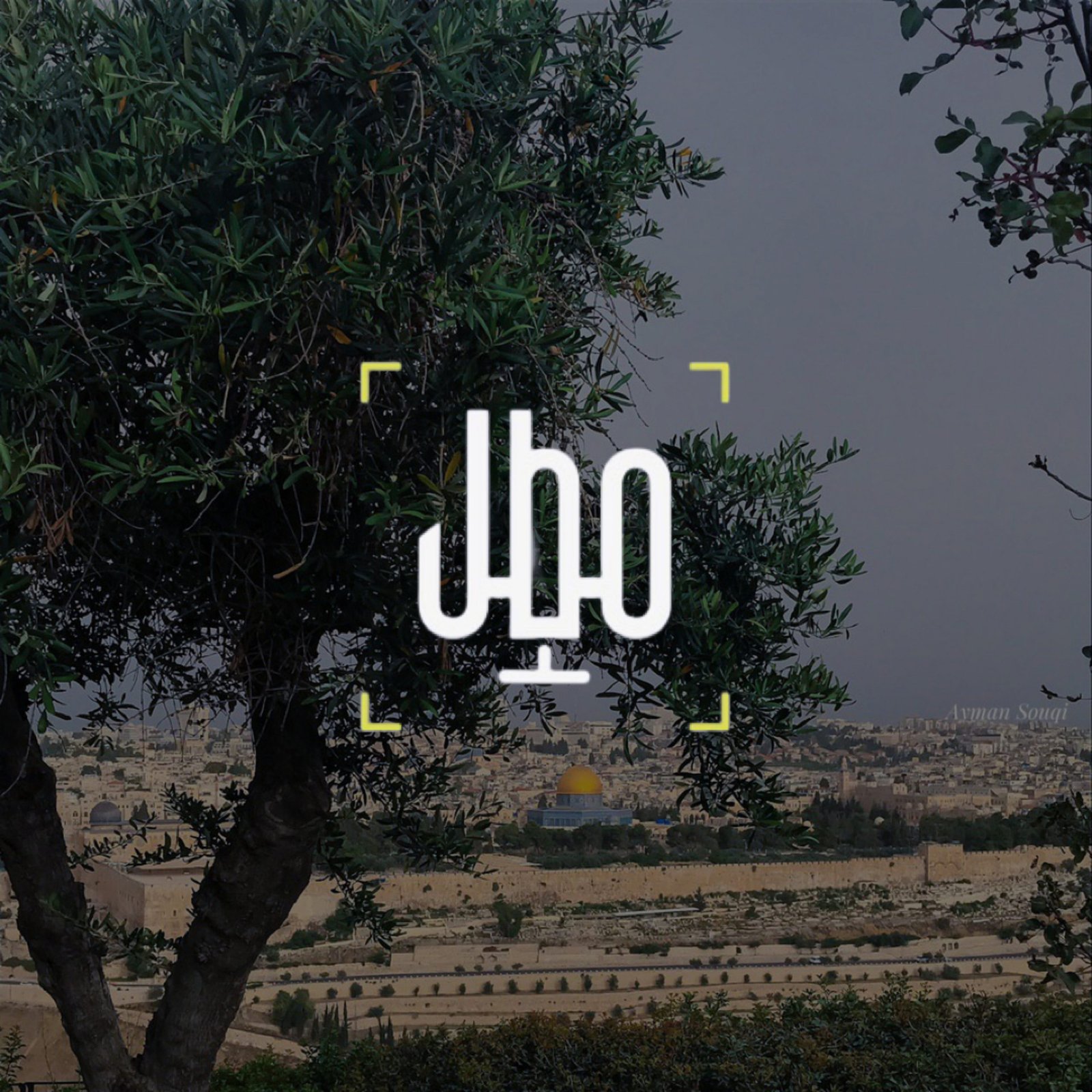 قصة بيت المقدس ٣: تيه بني اسرائيل. - بودكاست فلسطين