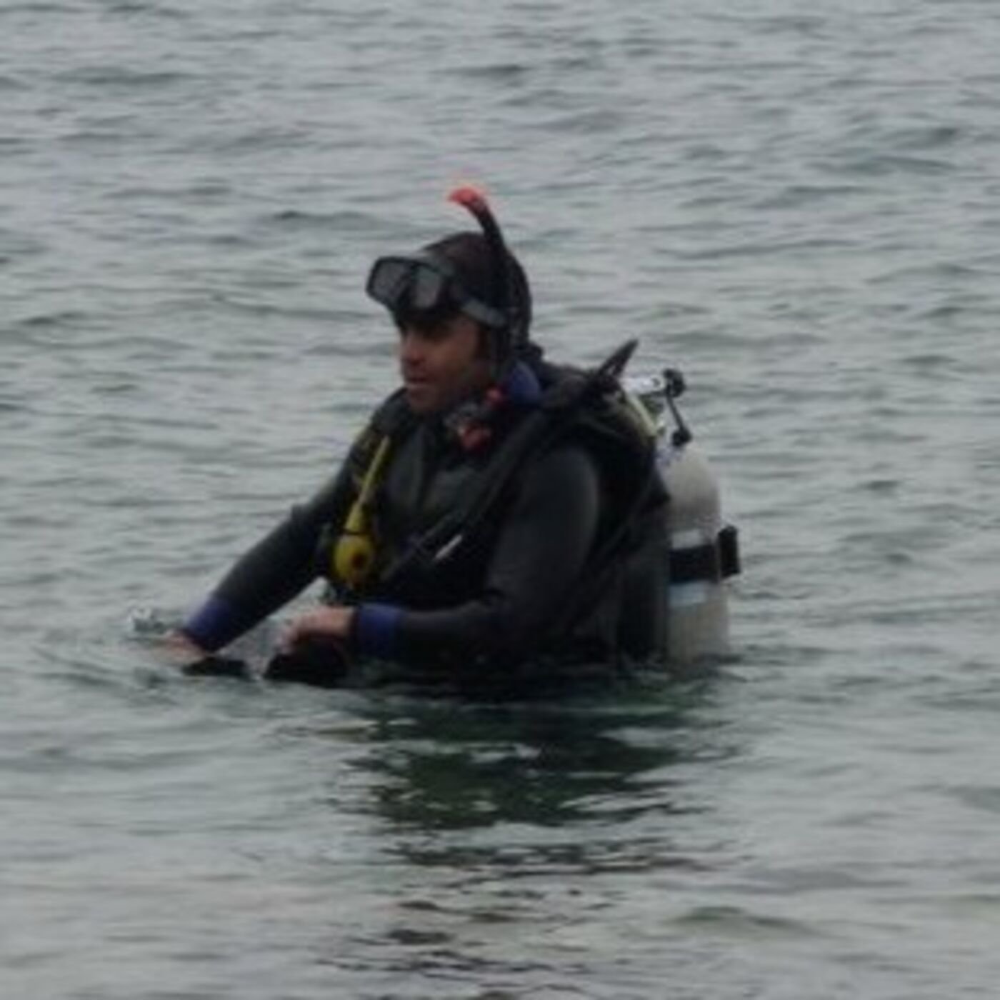 Andrew Rofella How ECOncrete Can Help The Sea Marine and Reduce CO2 by Dr. Andrew ...